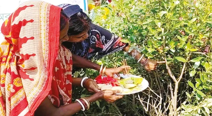 ৪ বছরের নাতনি খুনে এখনও থমথমে পাড়া, ভাইফোঁটায় নিষ্প্রভ সোনারপুর, ফোঁটা দিলেন ফরাসি তরুণী, কোথাও ম্যানগ্রোভ হল ‘সবুজ ভাই’
