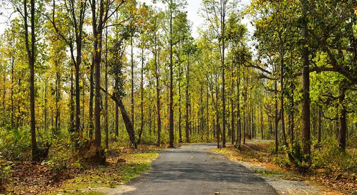 ঝাড়গ্রামের প্রাকৃতিক সৌন্দর্যে মুগ্ধ ‌ইতালির ডেপুটি কনসাল জেনারেল