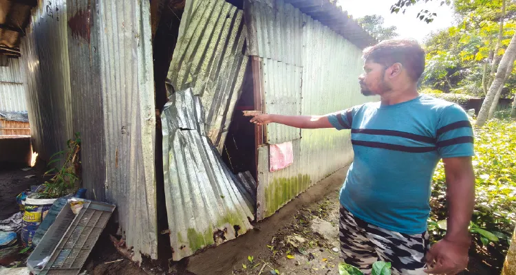 সাতসকালে ময়নাগুড়ি শহরে হাতি মাকনার হানায় ক্ষতিগ্রস্ত কয়েকটি বাড়ি