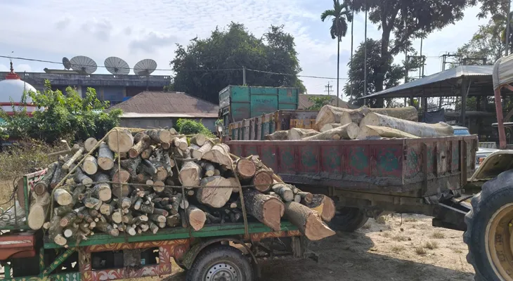 তিস্তার বাঁধ থেকে গাছ চুরি করে পালানোর সময় পুলিশের হাতে গ্রেফতার পাঁচ, বাজেয়াপ্ত ভুটভুটি, গাছ কাটার মেশিন