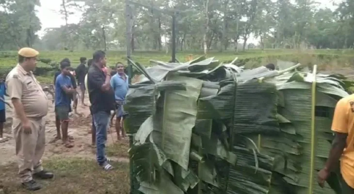 জলপাইগুড়ি শহর লাগোয়া ডেঙ্গুয়াঝাড় চা বাগানে চিতাবাঘের আতঙ্ক, বসল খাঁচা