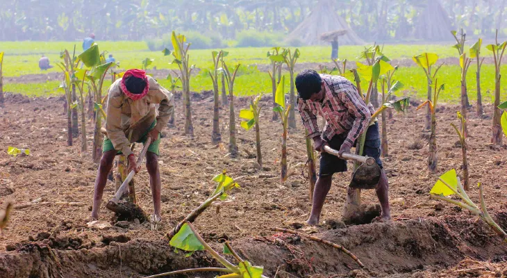 একশো দিনের কাজে প্রাপ্ত টাকা ঢোকার সুবিধার্থে কেওয়াইসি যাচাই শ্রমিকদের, নেওয়া হচ্ছে সবার চোখের রেটিনার ছবি