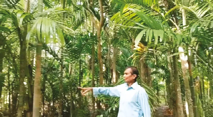 পরিত্যক্ত জমিতে সুপারি চাষ করে বিকল্প  আয়ের দিশা দেখাচ্ছেন বসিরহাটের গৃহস্থ