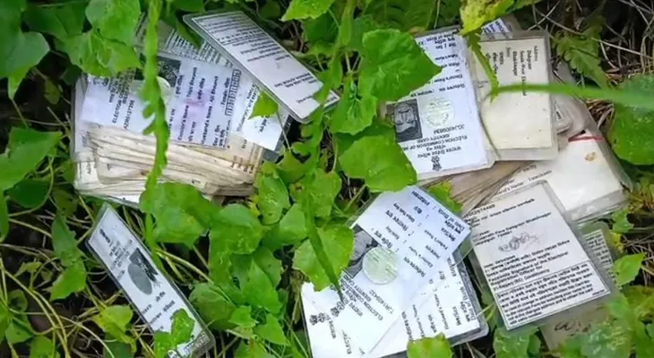 বিডিও অফিসের পাশে জঙ্গলে পড়ে রয়েছে প্রচুর ভোটার কার্ড!