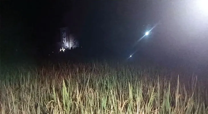 ভর সন্ধ্যায় সালারের গ্রামে ভালুক! লাঠি হাতে রাত জাগলেন বাসিন্দারা