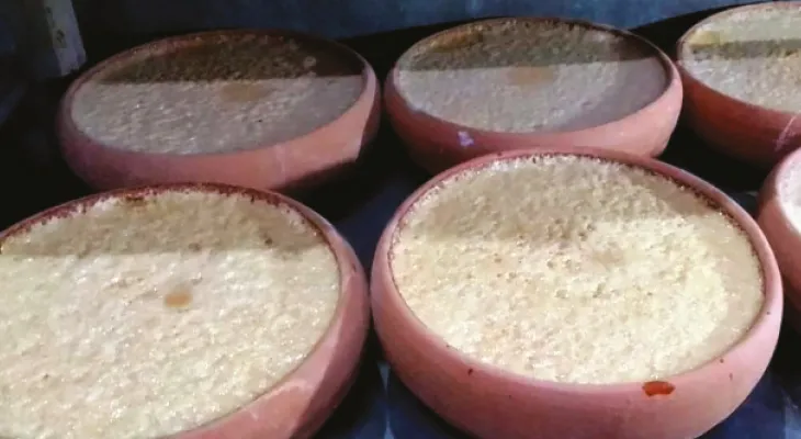 বোল্লা মায়ের আগমনে ভালো ব্যবসার আশায় গঙ্গারামপুরের দই ব্যবসায়ীরা