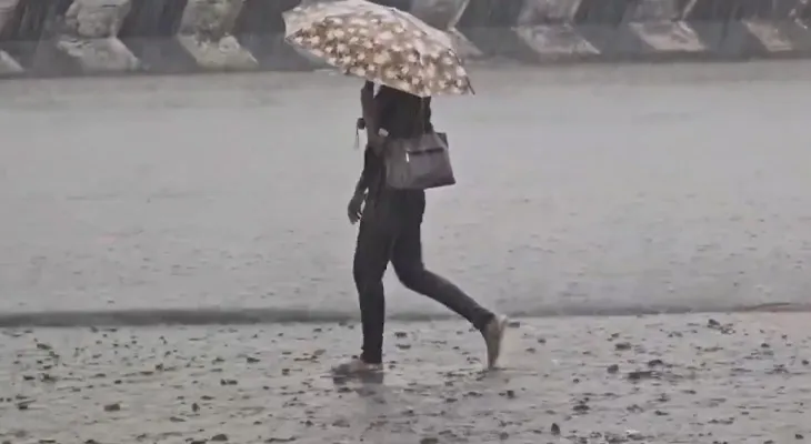 তামিলনাড়ুর আলান্দুর এলাকায় ব্যাপক বৃষ্টি