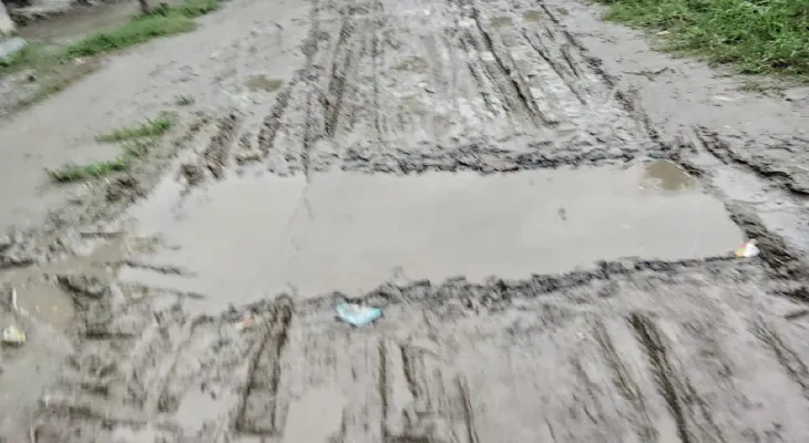 একটি মাত্র রাস্তাই বেহাল, সংস্কার না হওয়ায় সমস্যায় চর মেঘনার বাসিন্দারা