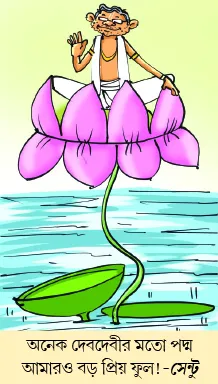 মজারু