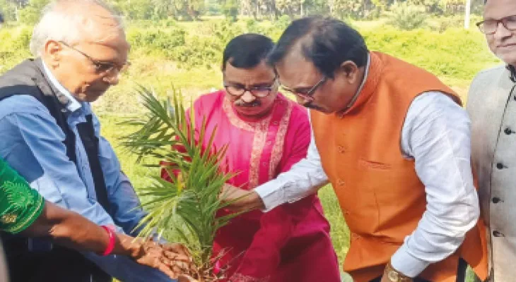 নলেন গুড়ের জোগান বৃদ্ধিতে জয়নগরে খেজুর চারা রোপণ