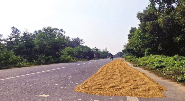 জাতীয় সড়কে শুকোতে দেওয়া হচ্ছে ধান-ভুট্টা, দুর্ঘটনার শঙ্কা