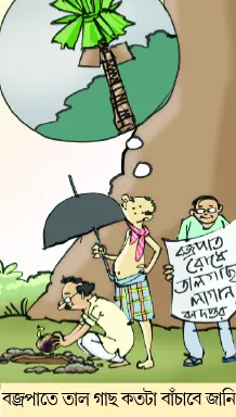 মজারু