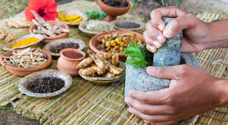সিজন চেঞ্জে জ্বর সর্দি শ্বাসের অসুখ, আয়ুর্বেদে সমাধান কী?