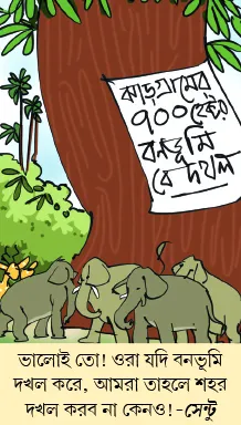 মজারু
