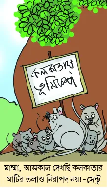 মজারু