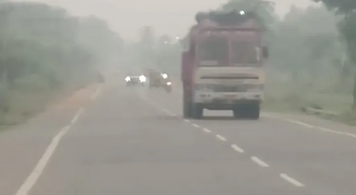 তামিলনাড়ুর চেঙ্গালপাট্টুতে নামল তাপমাত্রা, ঢাকল কুয়াশার চাদরে