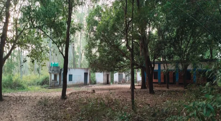 জামবনীতে জঙ্গলের মাঝে স্কুল, পড়ুয়াদের সুরক্ষায় বিদ্যালয়ের সীমানা প্রাচীরের দাবি