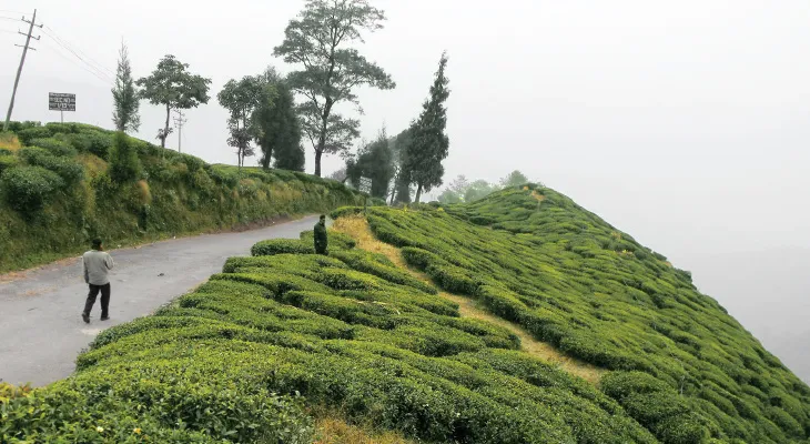বাজেট মেনে মধুচন্দ্রিমার খোঁজ