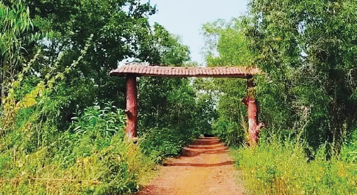 অবহেলায় পড়ে আছে সাঁকরাইলের দুর্গাহুরি ইকোপার্ক