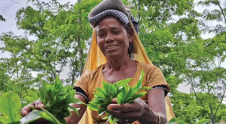 ‘বাংলার চা’ খাওয়ানো হবে এবার মোদির রাজ্যে, উদ্যোগী টি বোর্ড
