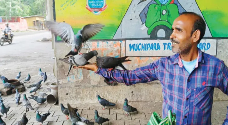 হরিহরের ঝালমুড়ির ‘খদ্দের’ পাখির দল  পসরা সাজালেই ঝাঁকে ঝাঁকে পায়রা, কাক, টিয়া