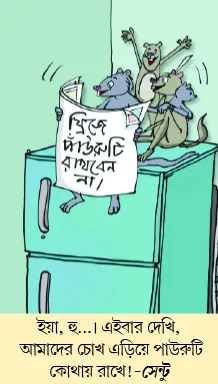 মজারু