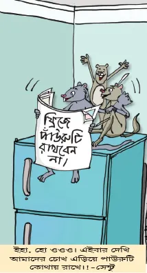 মজারু