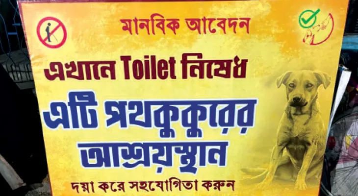 কুকুরের শোয়ার জায়গায় প্রস্রাব  করবেন না, পোস্টার বিজয়গড়ে