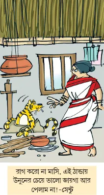 মজারু