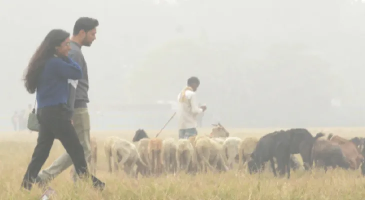 উত্তুরে হাওয়ার পাশাপাশি পুবালি বাতাস ঢোকায় বাড়ছে ঘন কুয়াশা