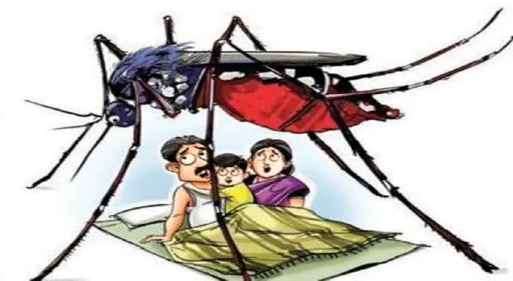 কাজ করছে না ‘সুডা’র মশা মারার তেল, দাবি পুরসভার