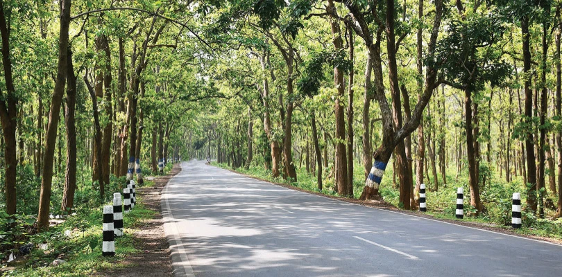 উত্তরবঙ্গের মতো বেলপাহাড়ীতেও জঙ্গল সাফারি