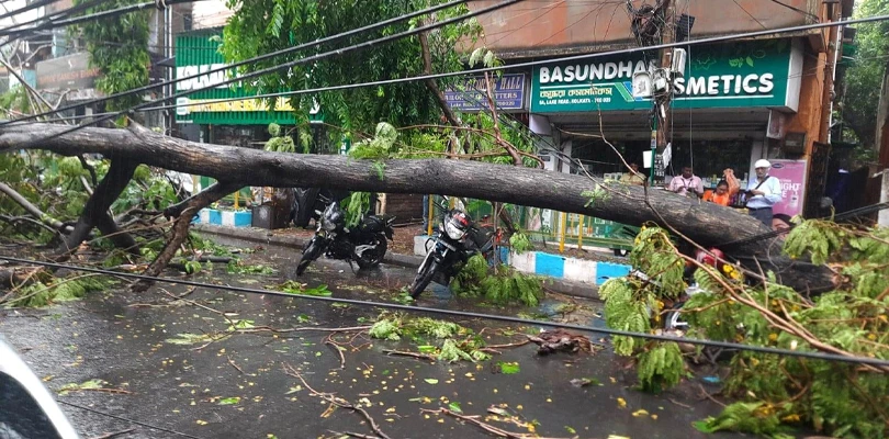 কলকাতা লেক রোডে গাছ পড়ে বন্ধ রাস্তা