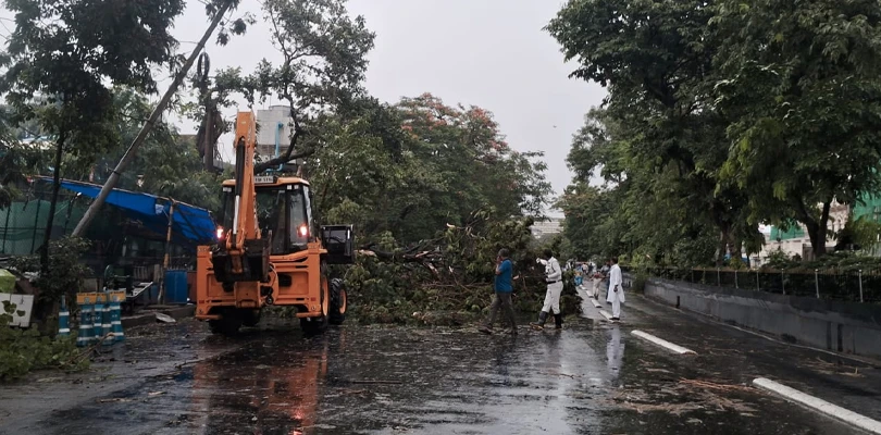 কলকাতায় ব্যাপক ঝড়-বৃষ্টি, গ্র্যান্ড হোটেলের সামনে ভেঙে পড়ল গাছ