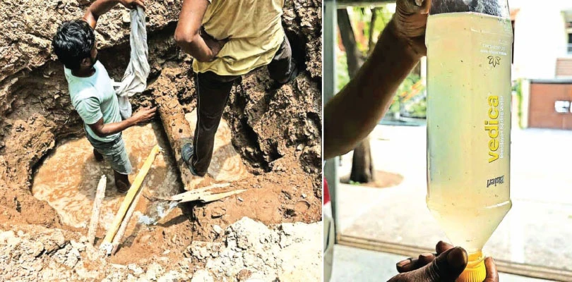 এবার জল সংকটে দিল্লির গুলমোহর পার্ক