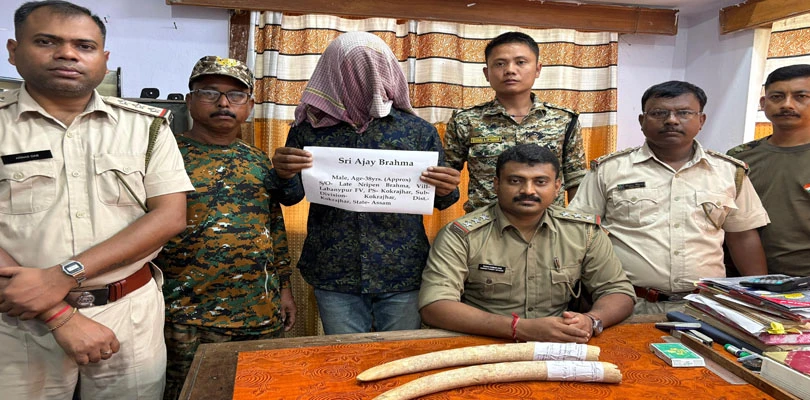 জয়গাঁয় হাতির দাঁত ও হরিণের শিং পাচারের চেষ্টা, ধৃত ২