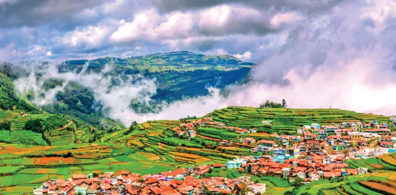 ছুটিতে উটি