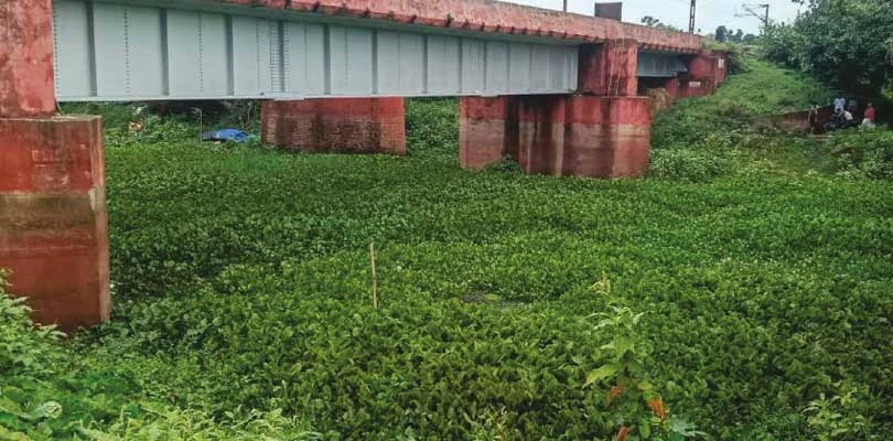গতি হারাচ্ছে যমুনা, বর্ষার আগে পদক্ষেপ