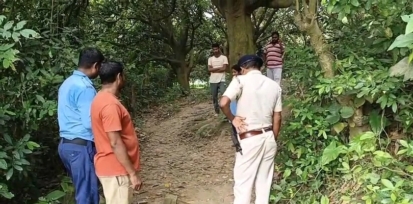 আম কুড়তে গিয়ে বোমা ফেটে জখম ৩ নাবালক