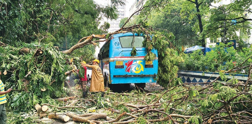 ভরদুপুরেই অন্ধকার শহর, তুমুল ঝড়বৃষ্টি, একাধিক গাছ উপড়ে বিপত্তি, কাঁচরাপাড়ায় বাজে মৃত ১