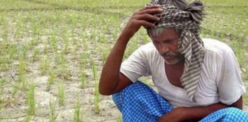একবছরেই মহারাষ্ট্রজুড়ে আত্মঘাতী ৬৬৬৯ কৃষক , লাভের পাহাড়ে বিমা সংস্থাগুলি
