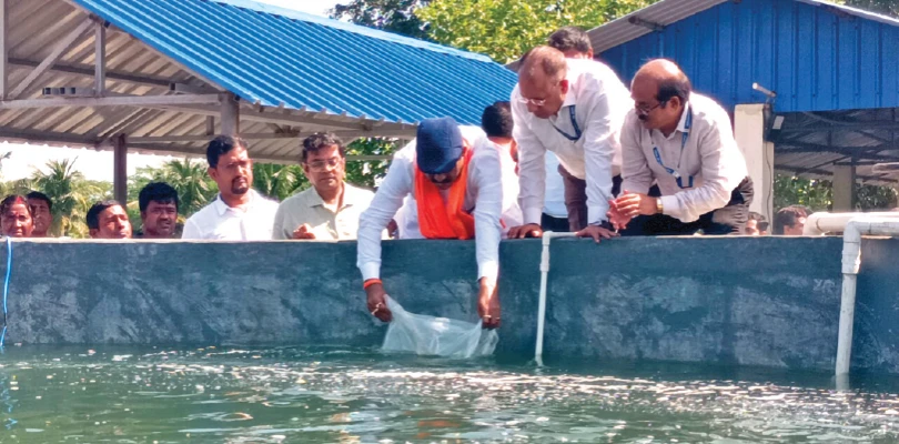পুকুরে ইলিশ চাষ, শেষ পর্যায়ের কাজ শুরু, কাকদ্বীপের মৎস্য গবেষণাকেন্দ্র
