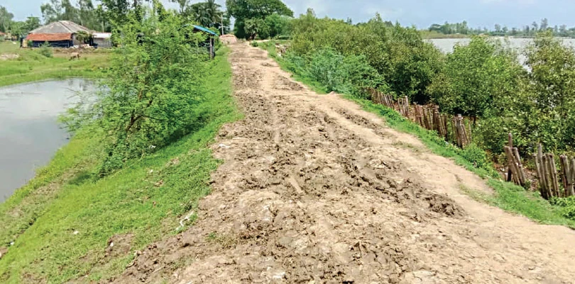 গ্রামে সব রাস্তারই বেহাল দশা, সমস্যায় ঈশ্বরীপুরের বাসিন্দারা