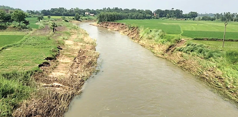 কাটোয়ায় ব্রহ্মাণী, খড়ি সহ বিভিন্ন নদীর নাব্যতা কমে যাচ্ছে, সামান্য বৃষ্টিতেই প্লাবিত চাষের জমি