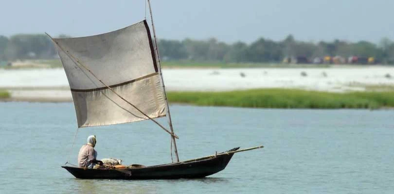 মরা পদ্মার পারে বিএসএফের কড়াকড়িতে চাষাবাদে সমস্যা, রাজ্যে পালাবদলে পরিবর্তনের আশায় চাষিরা