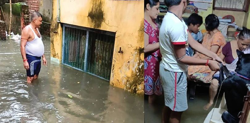 হাওড়ার পঞ্চাননতলায় জমা জলে মিশছে অ্যাসিড, নরক যন্ত্রণা থেকে মুক্তি চেয়ে হাইকোর্টের দ্বারস্থ এলাকার বাসিন্দারা