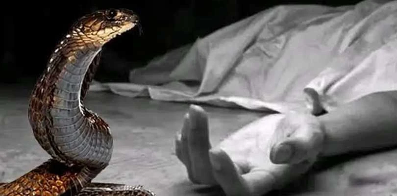নবান্নে মুখ্যমন্ত্রী শুভেন্দু অধিকারীর সঙ্গে দেখা করলেন শিল্পপতি সঞ্জীব গোয়েঙ্কা