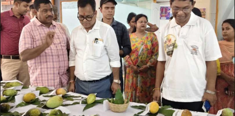 ইআইআইএলএমের জলপাইগুড়ি ক্যাম্পাসে দেশ-বিদেশের আম, উৎসবে মাতল কলেজ