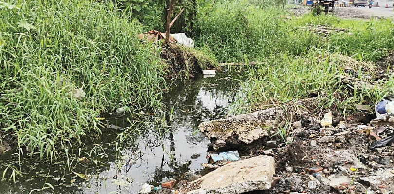 রাস্তা-নিকাশি-নয়ানজুলি  সংস্কার অসম্পূর্ণ, ভোগান্তি