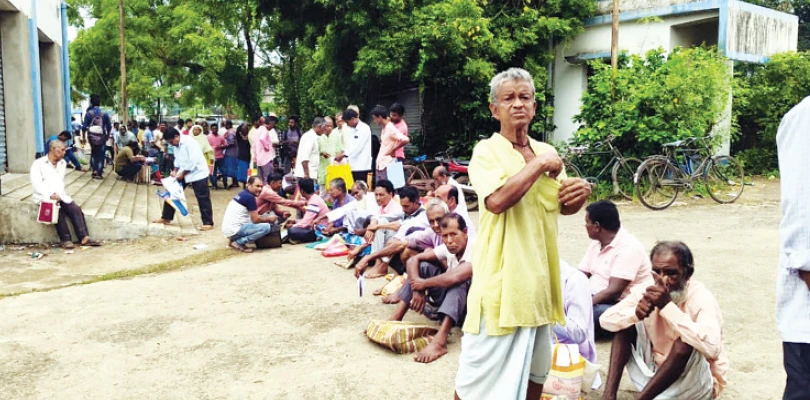 ধান রোপণের কাজ বন্ধ রেখে কৃষকবন্ধু যাচাইয়ের ফর্ম জমা দেওয়ার লম্বা লাইন, ভোগান্তিতে চাষিরা